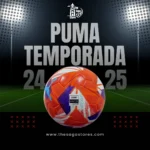 PUMA Premier League Temporada 24/25 Football (Orange Edition), Made in Sialkot, Official size 5 - Image 2