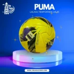 PUMA Premier League Temporada 24/25 Football (Yellow Edition), Made in Sialkot, Official size 5 - Image 2