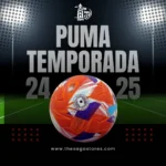 PUMA Premier League Temporada 24/25 Football (Orange Edition), Made in Sialkot, Official size 5 - Image 4