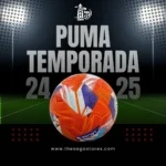 PUMA Premier League Temporada 24/25 Football (Orange Edition), Made in Sialkot, Official size 5 - Image 3